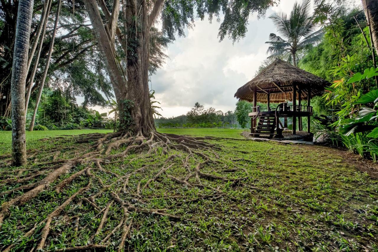 Kamaniiya River Villa Sayan - Ubud Exteriör bild